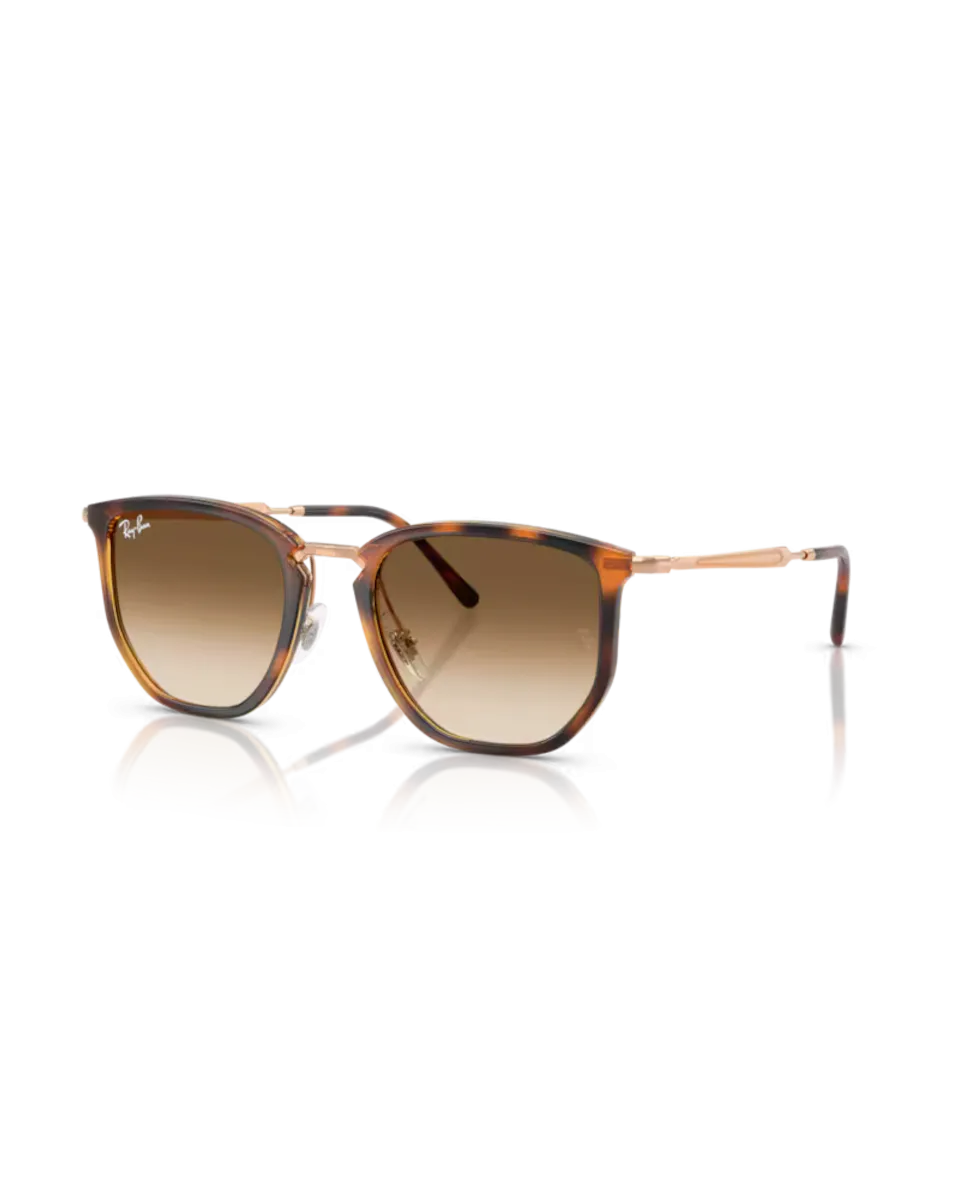 Ray-Ban Sunglasses RB4451 Sunglasses in Polished Transparent Orange