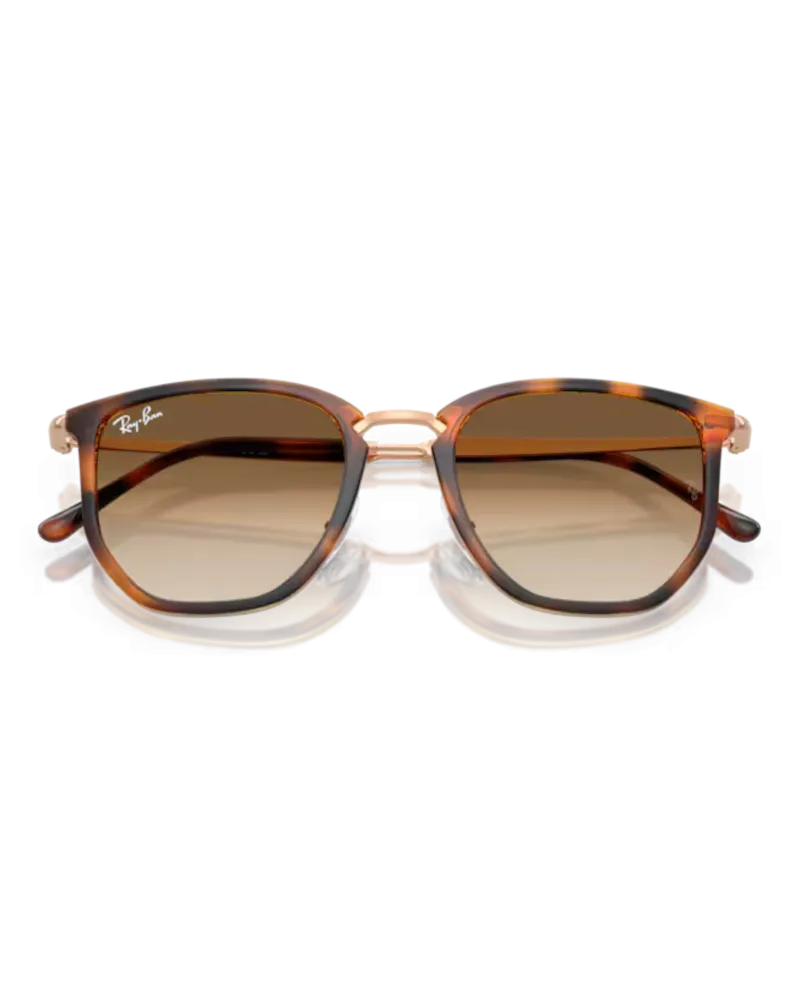 Ray-Ban Sunglasses RB4451 Sunglasses in Polished Transparent Orange