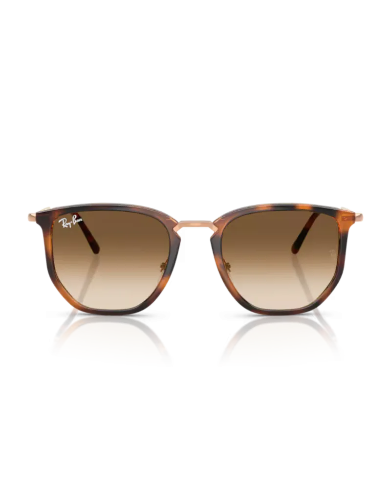 Ray-Ban Sunglasses RB4451 Sunglasses in Polished Transparent Orange