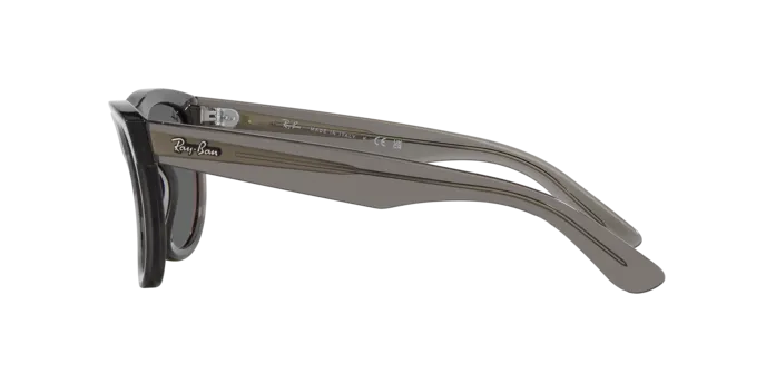 Ray-Ban Wayfarer Reverse RBR0502S 6707GR