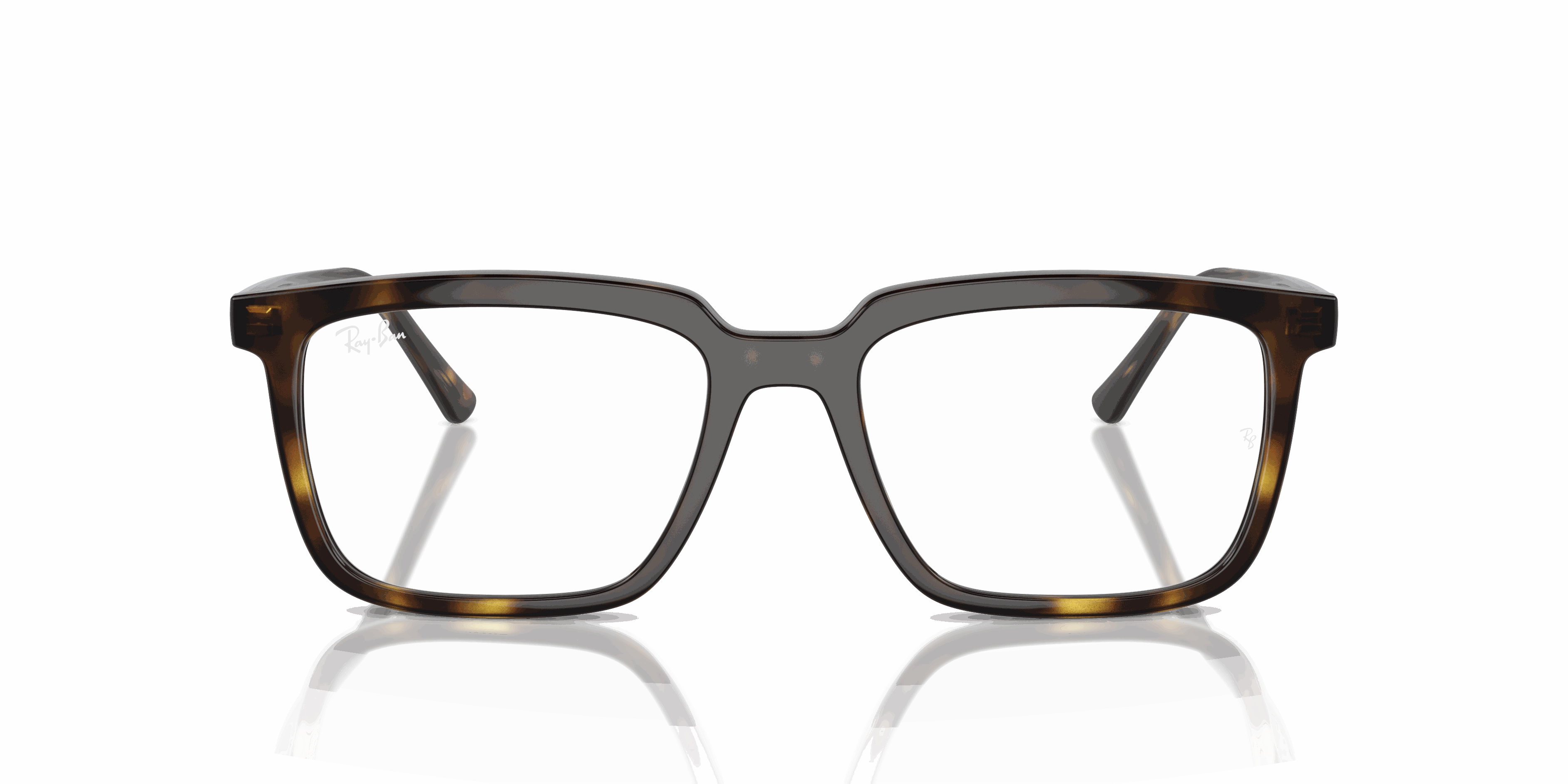 RayBan ALAIN OPTICS
