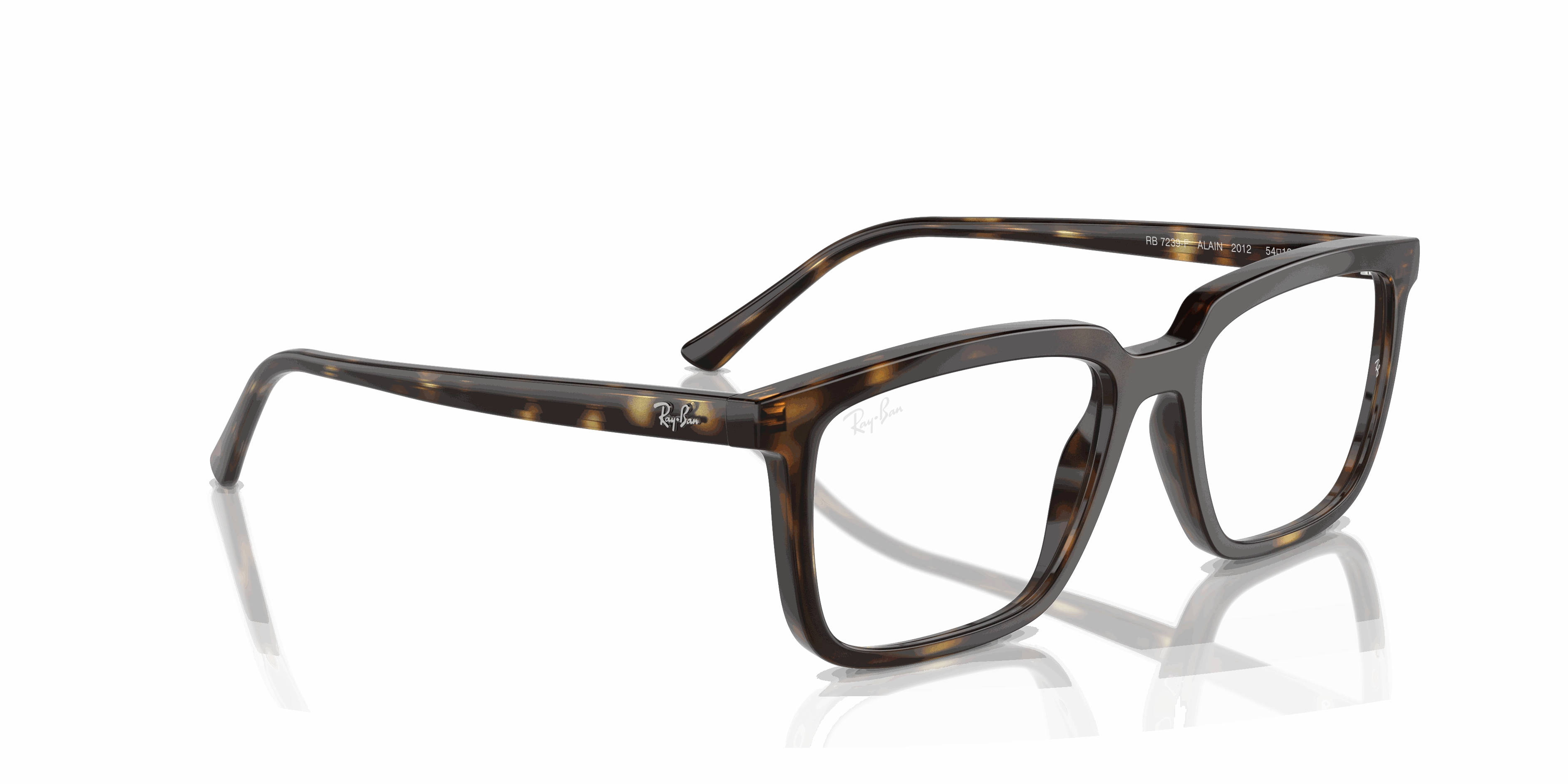 RayBan ALAIN OPTICS