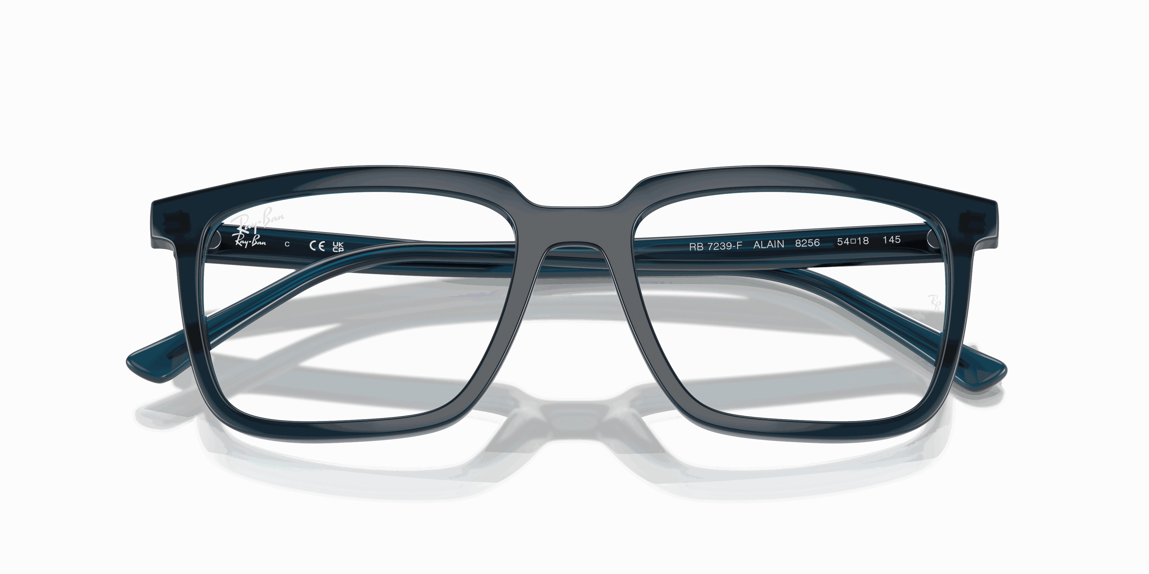 RayBan ALAIN OPTICS