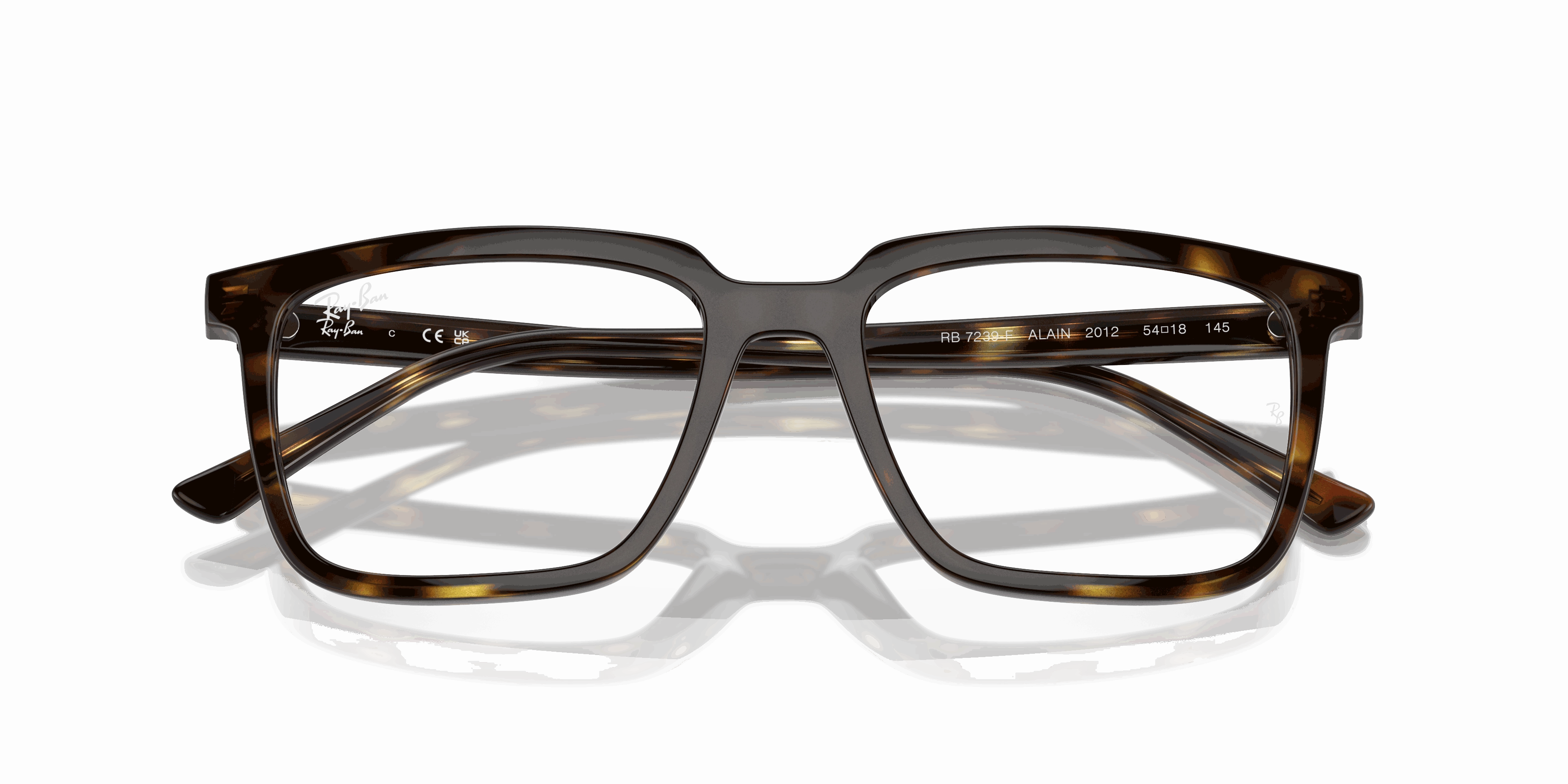 RayBan ALAIN OPTICS