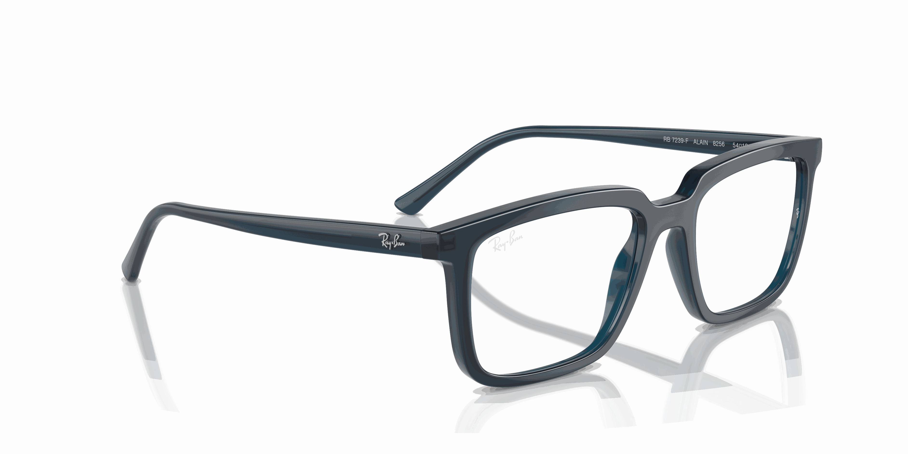 RayBan ALAIN OPTICS
