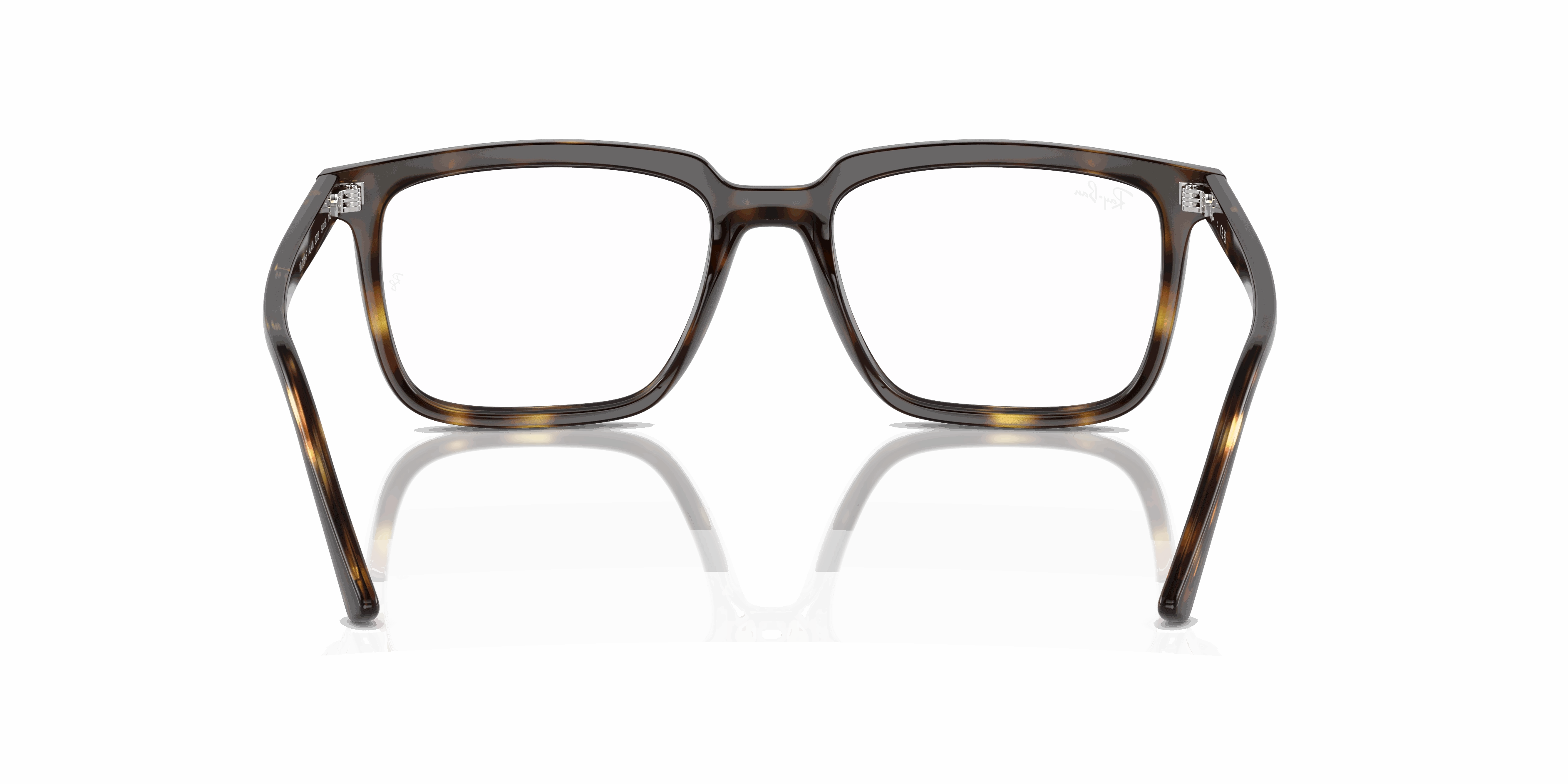 RayBan ALAIN OPTICS
