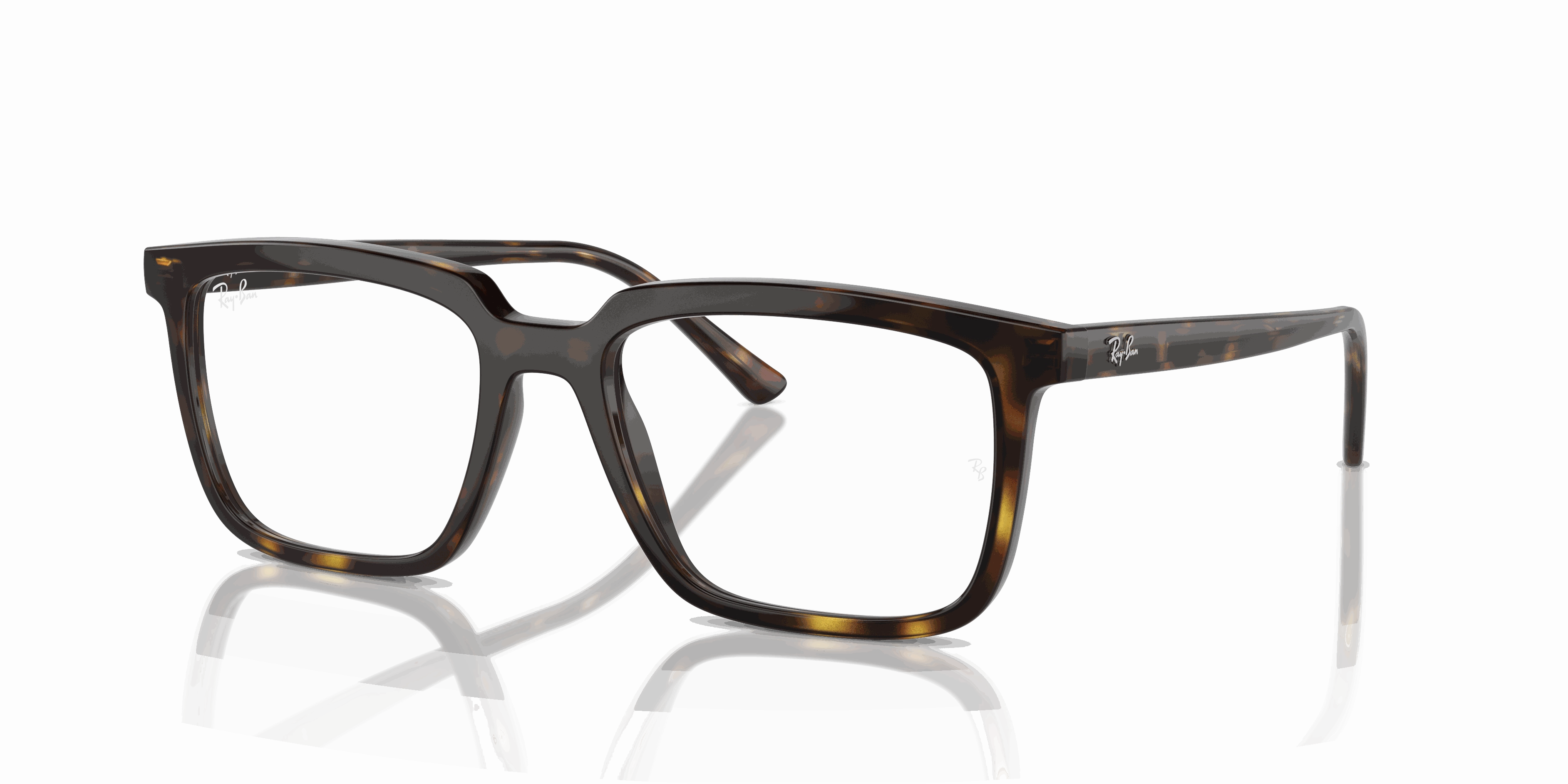 RayBan ALAIN OPTICS