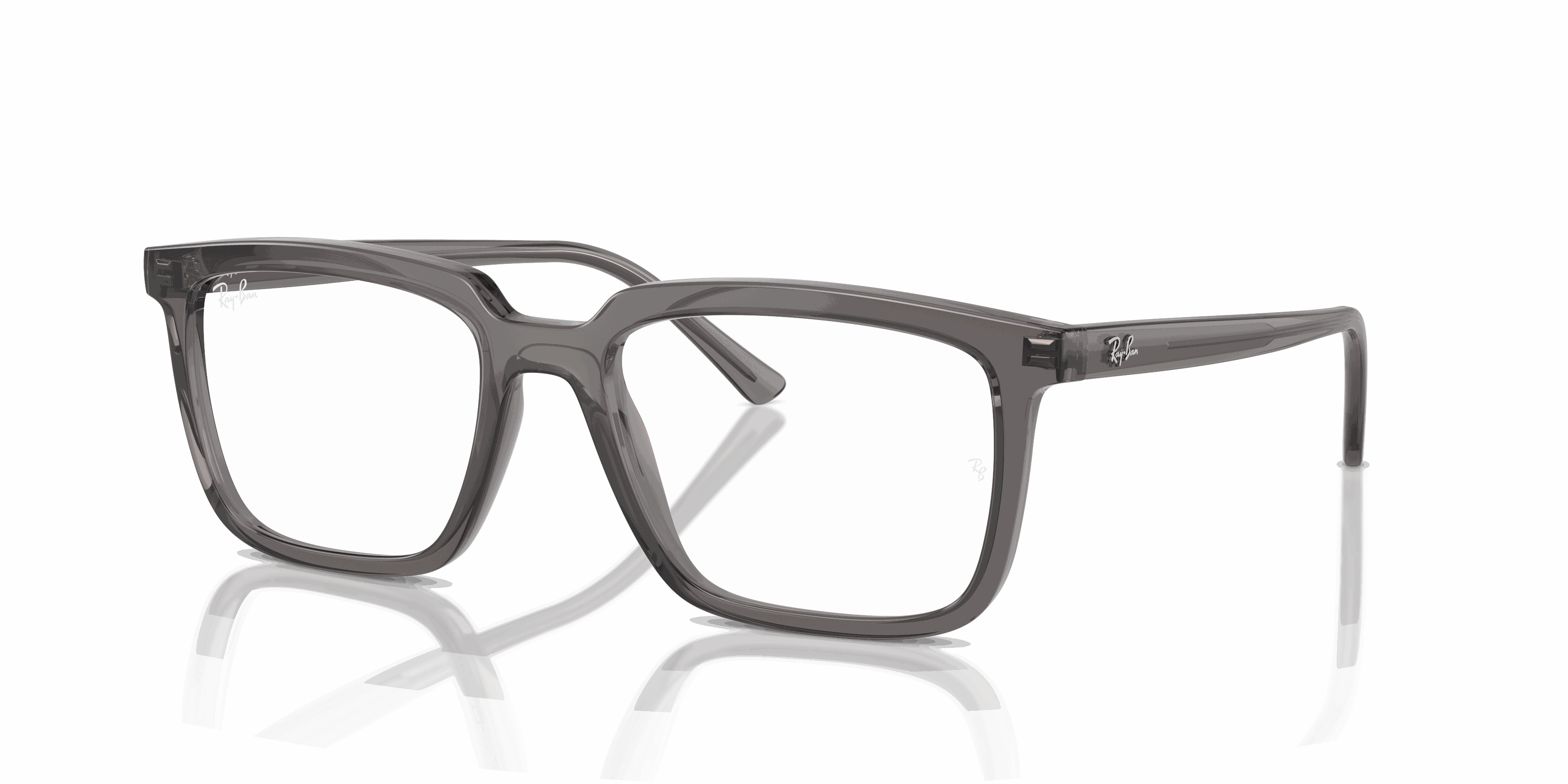 RayBan ALAIN OPTICS