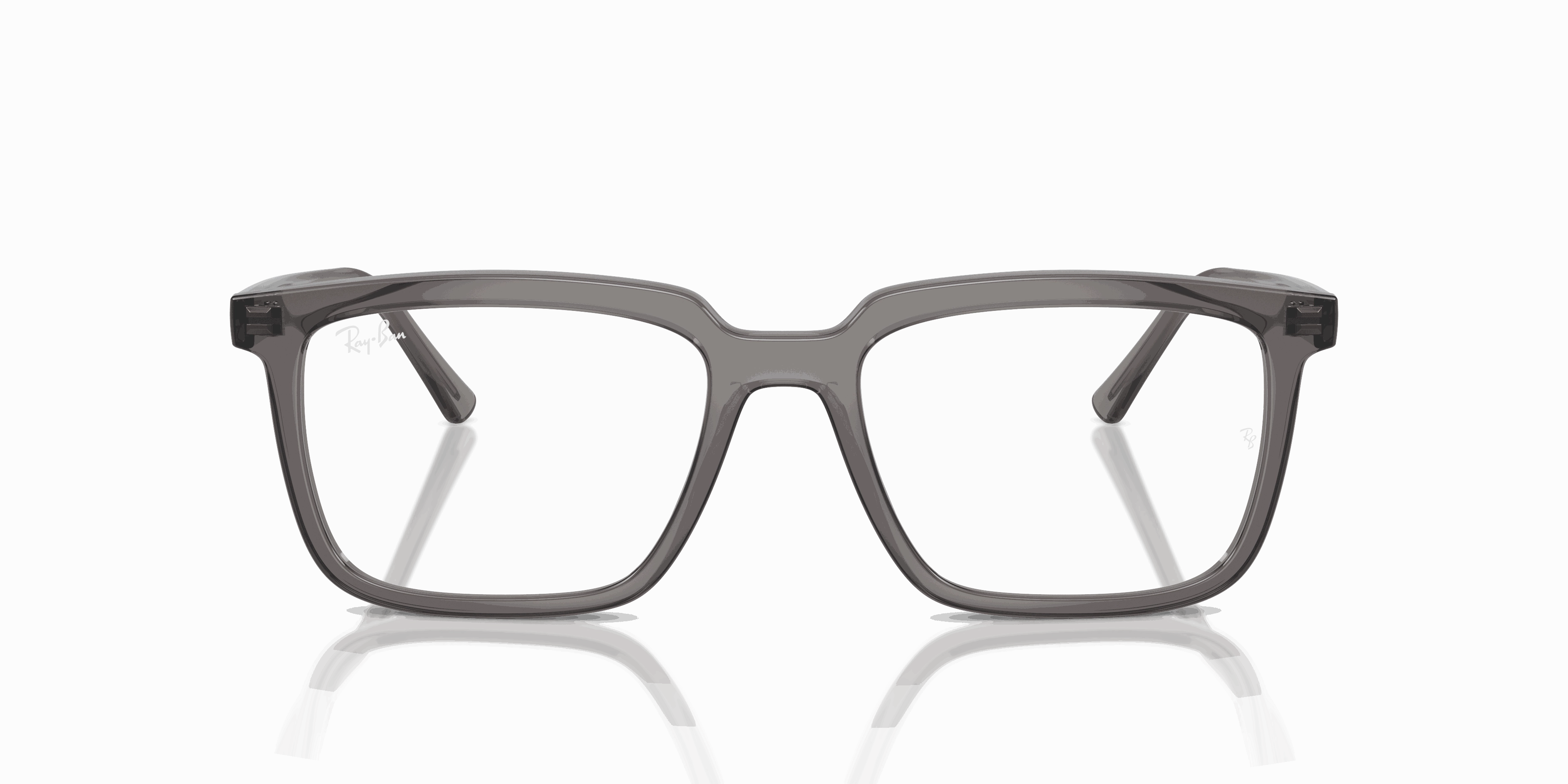 RayBan ALAIN OPTICS