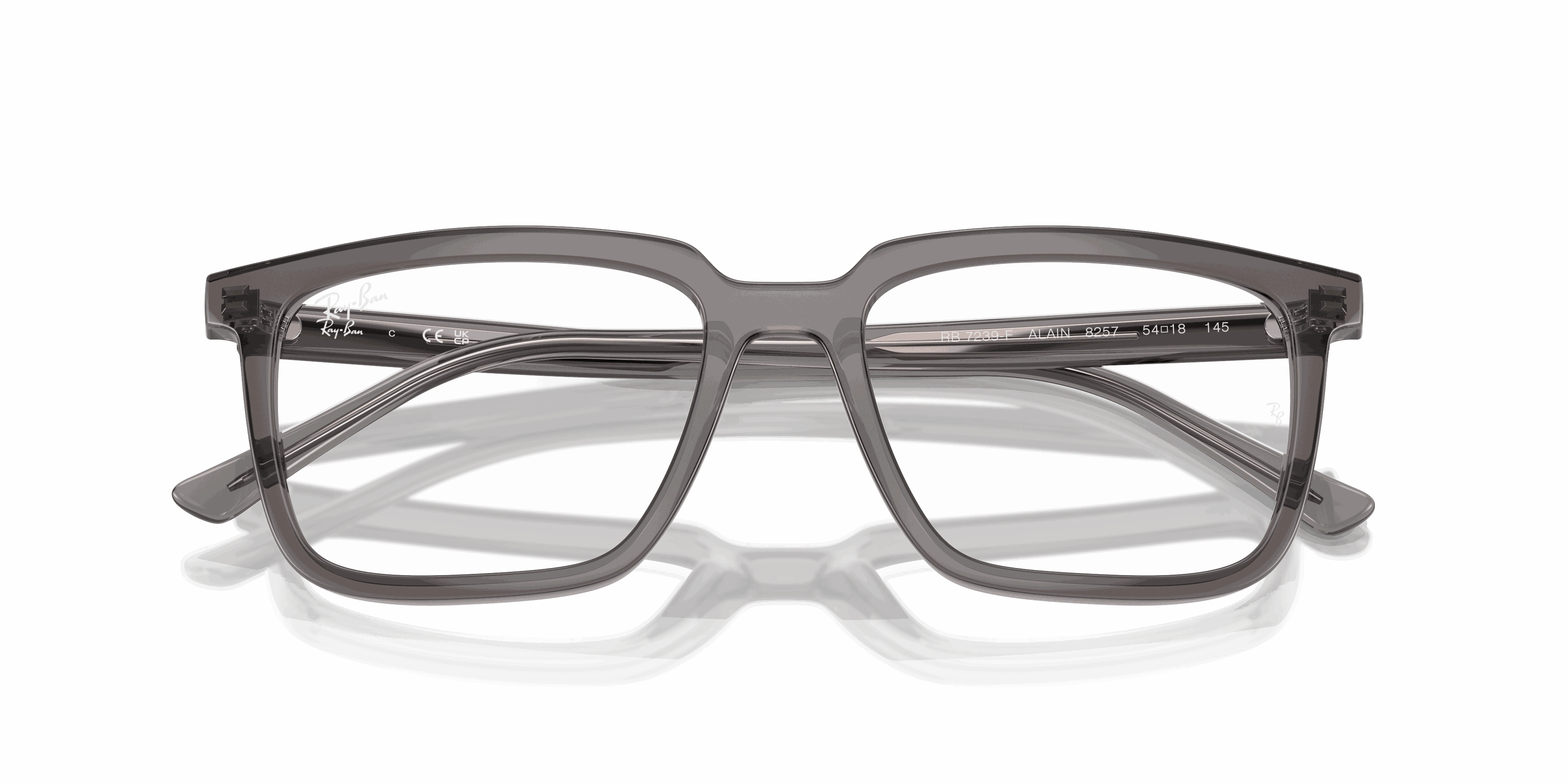 RayBan ALAIN OPTICS