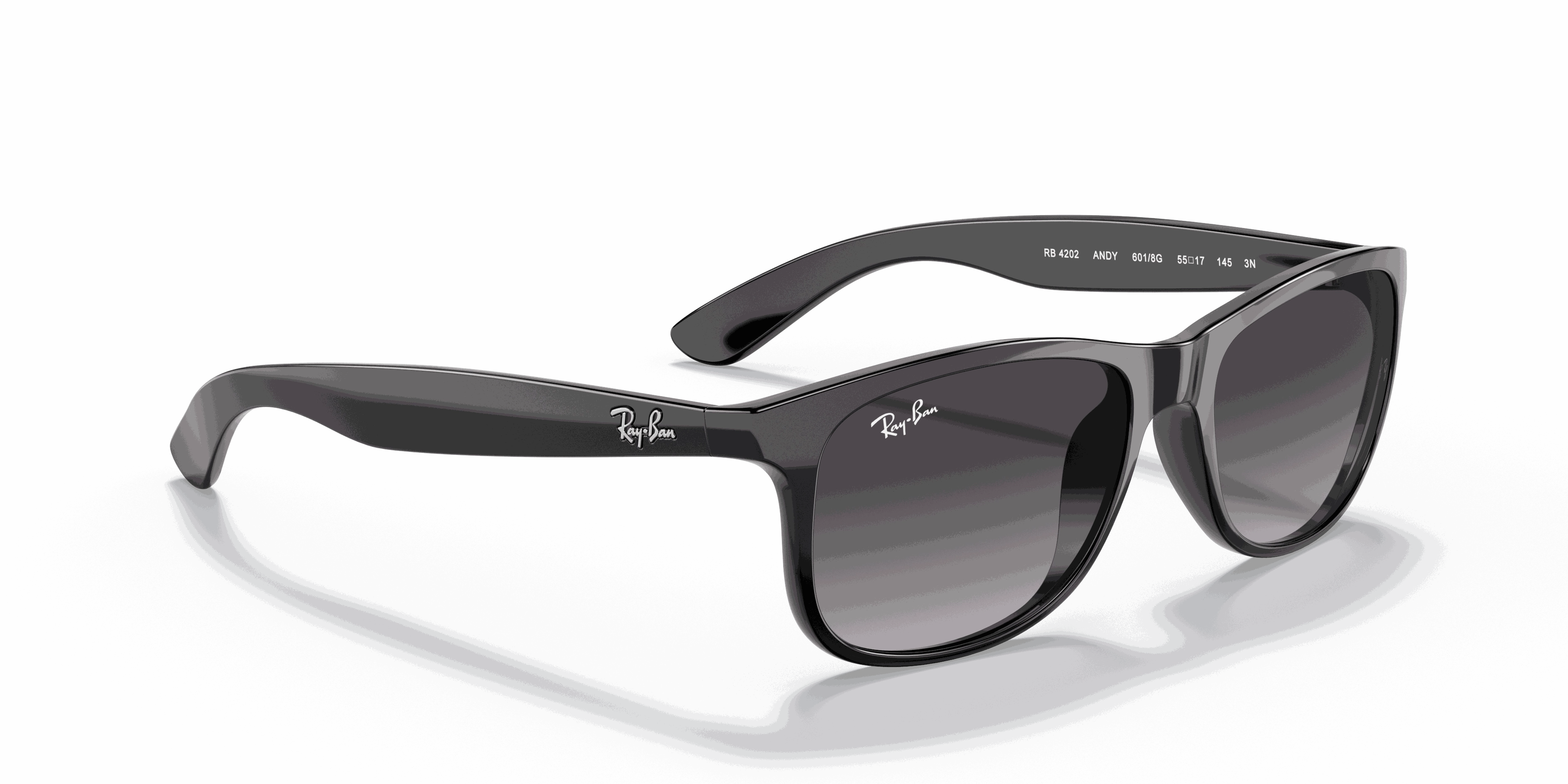 RayBan ANDY