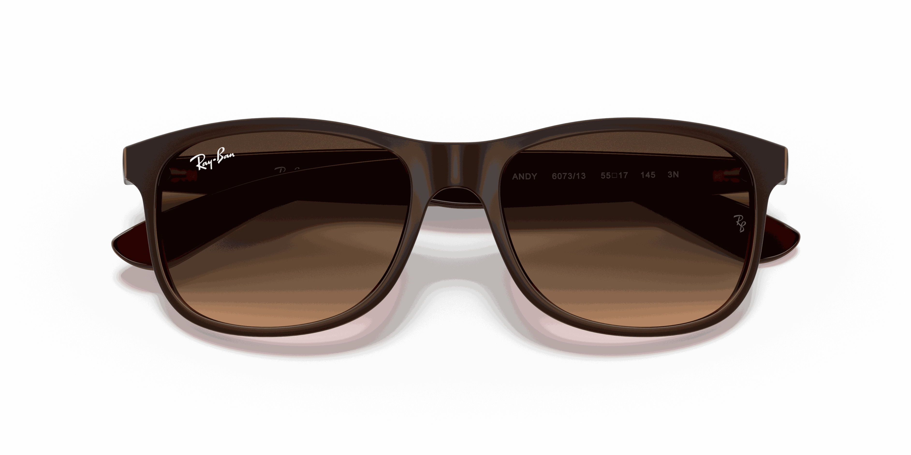 RayBan ANDY