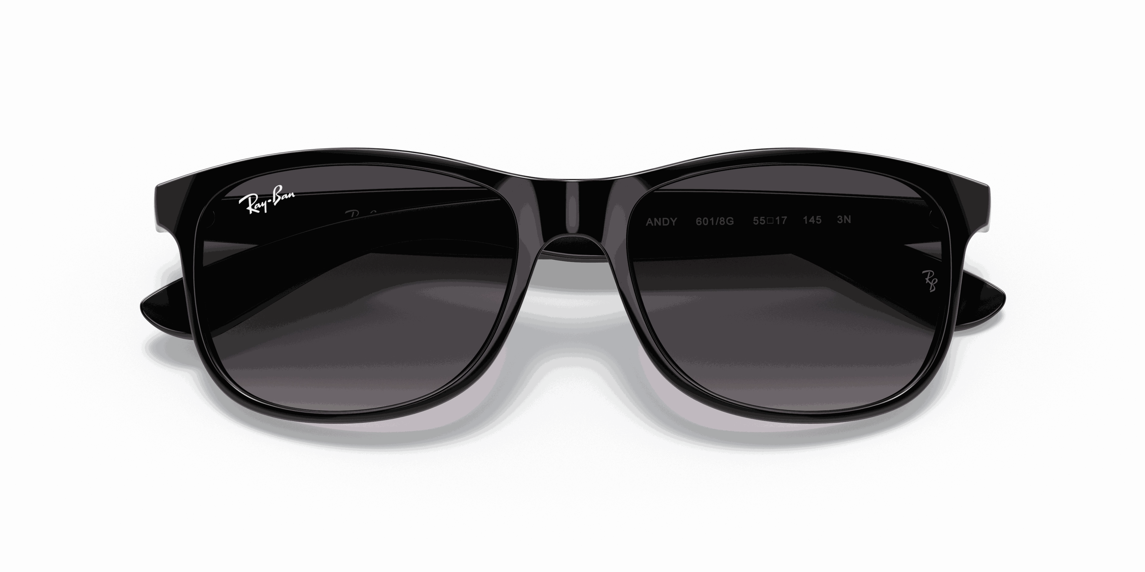 RayBan ANDY