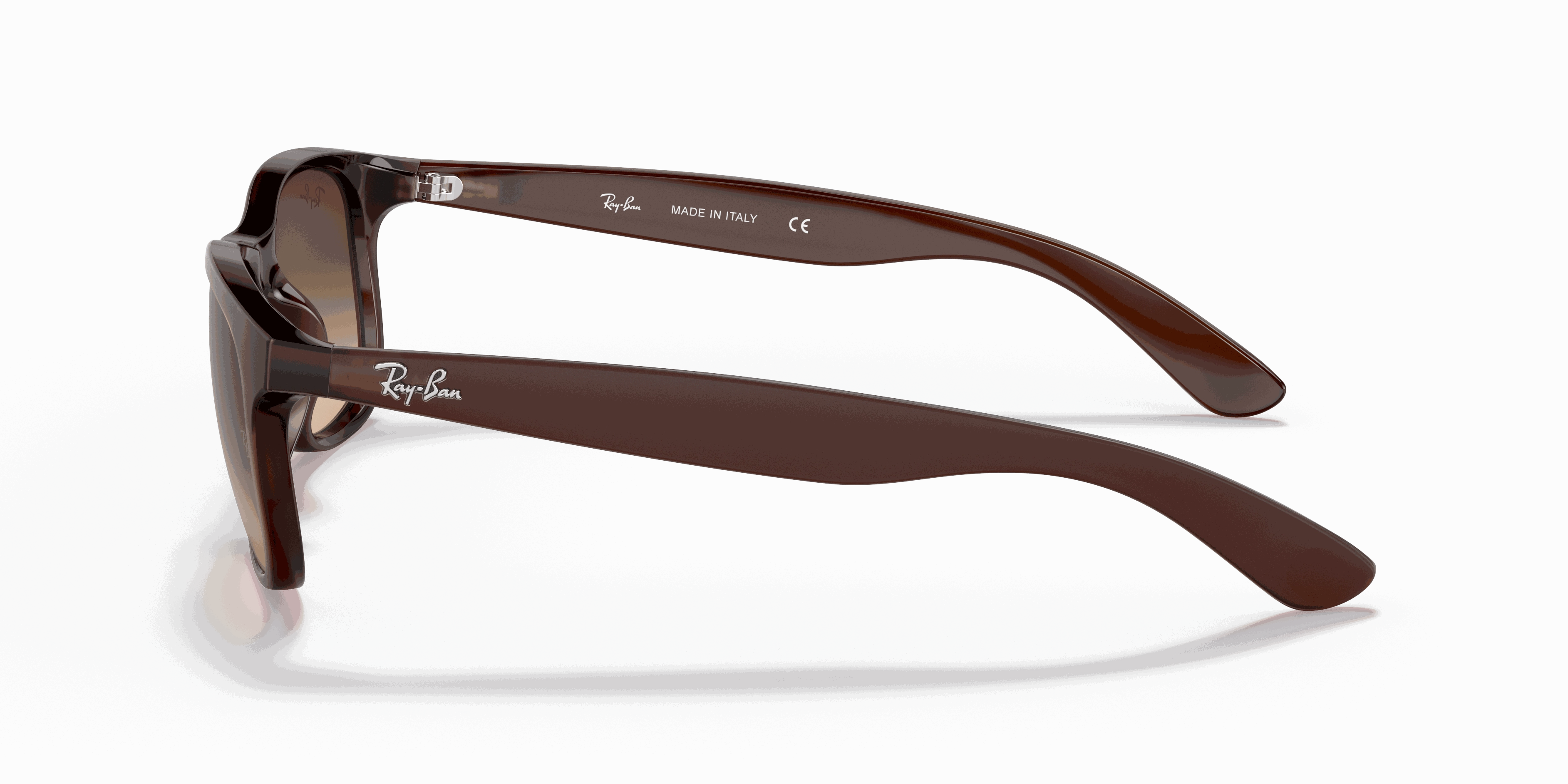 RayBan ANDY