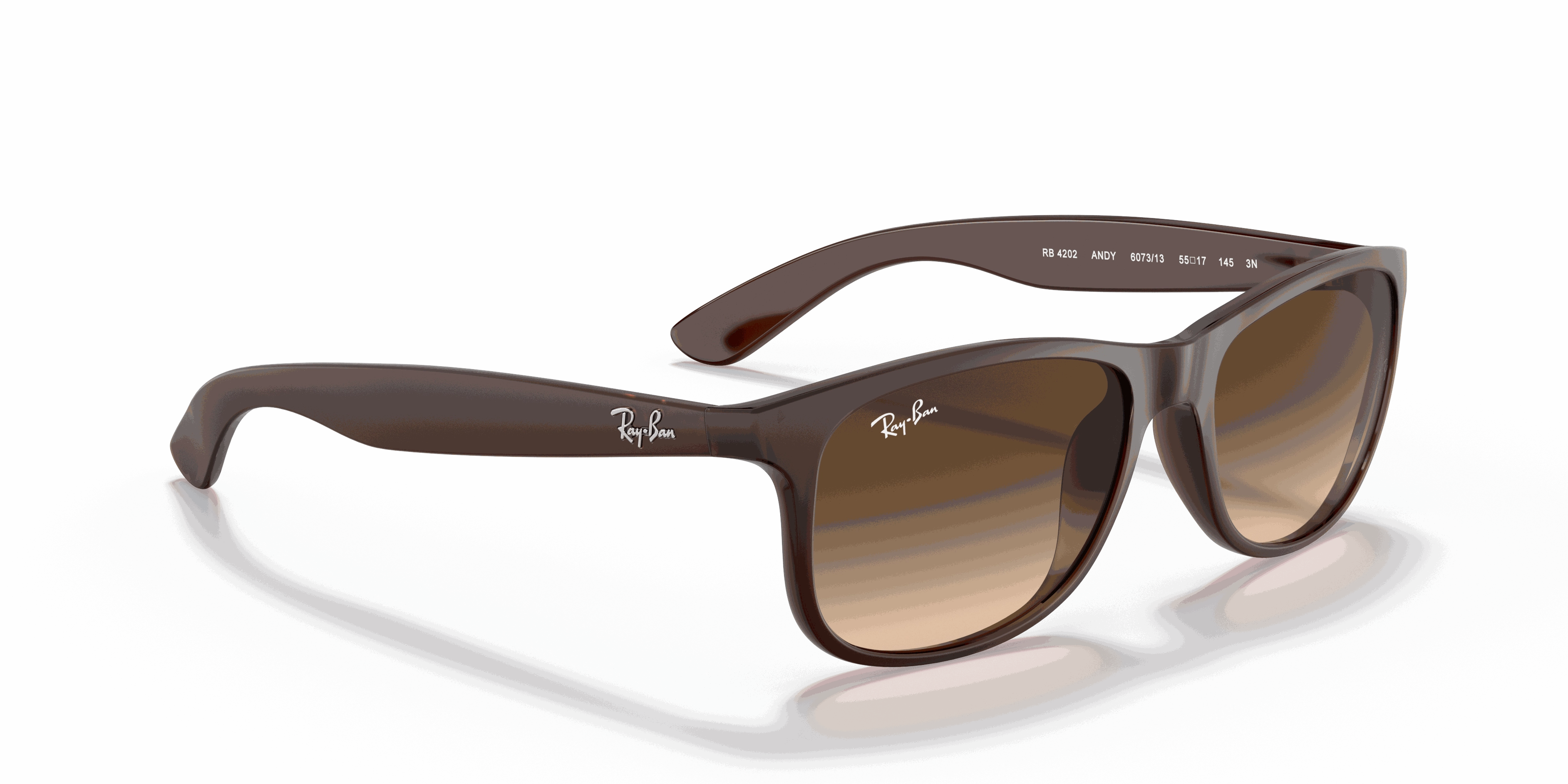 RayBan ANDY