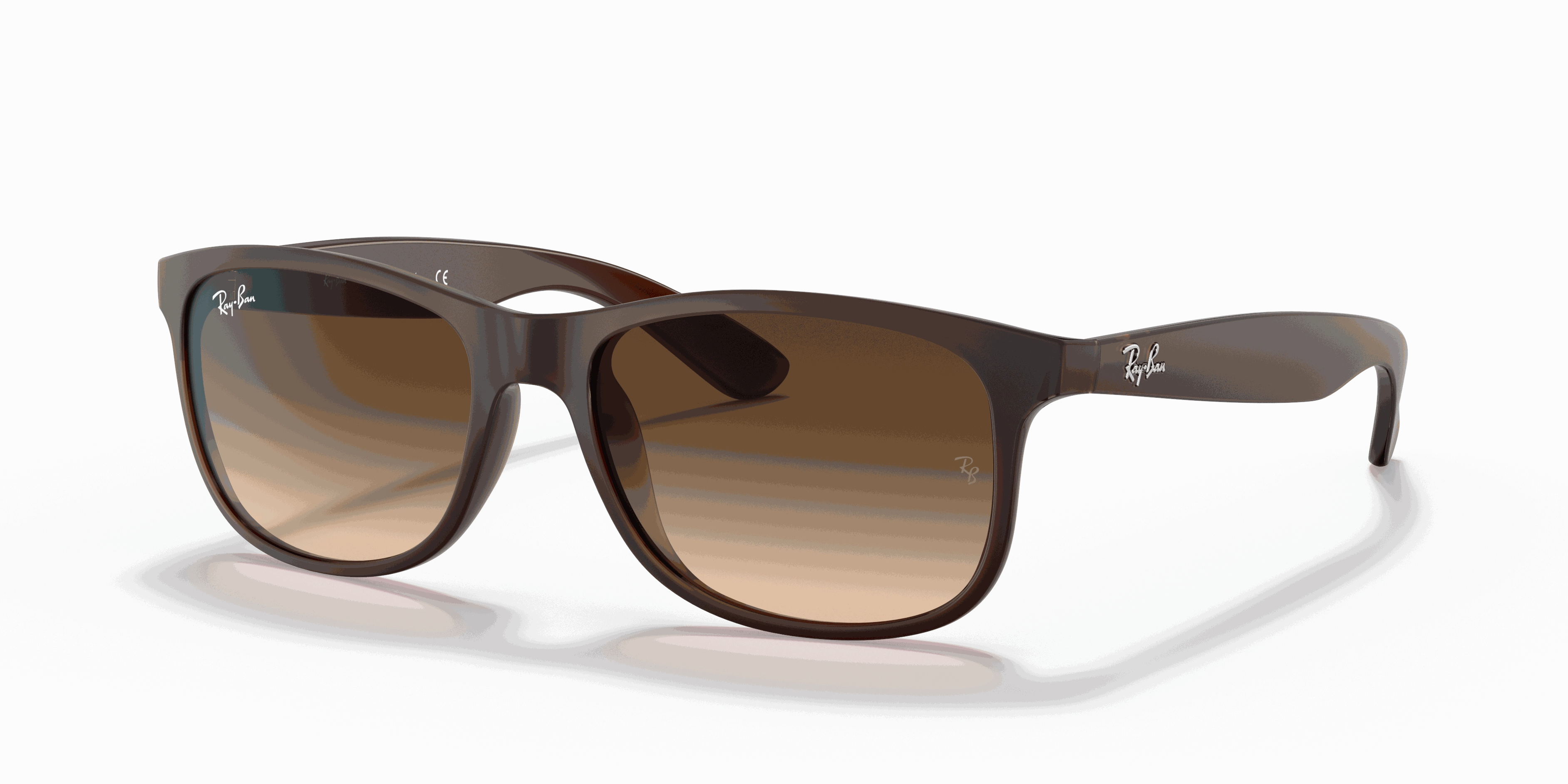 RayBan ANDY