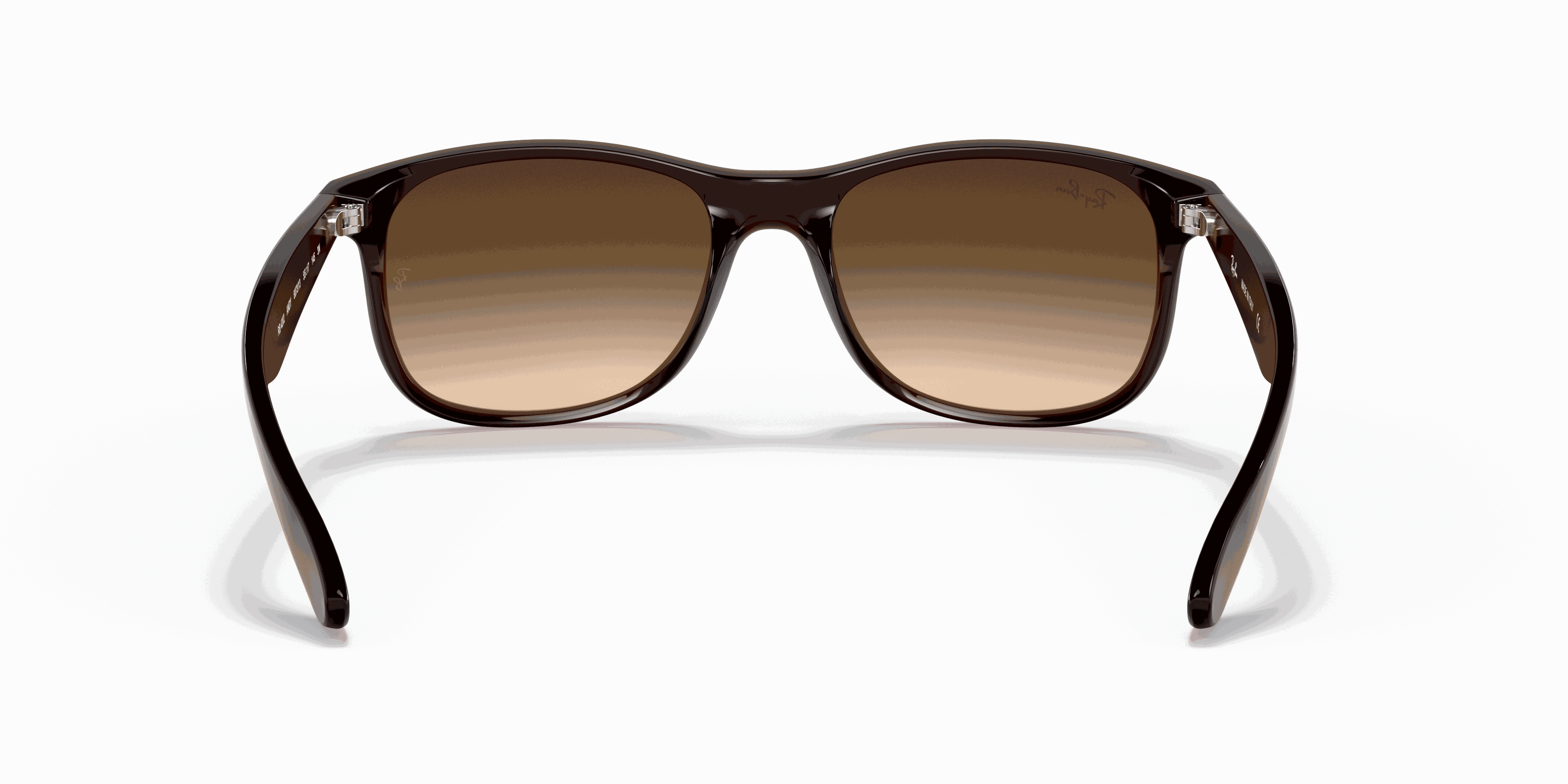 RayBan ANDY