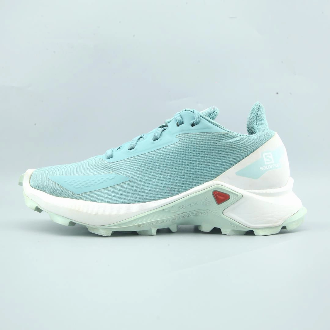 SALOMON ALPHA CROSS Salomon multi-terrain runners for men