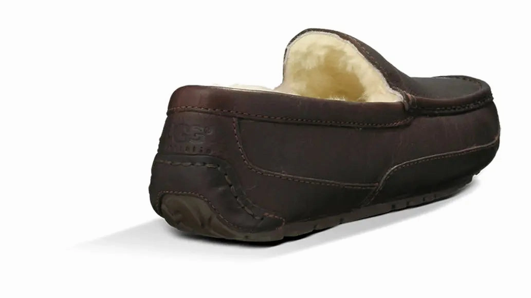 The Mens UGG Ascot (Leather) Slipper  Timeless Style & Everyday Comfort Ugg cozy footwear visuals