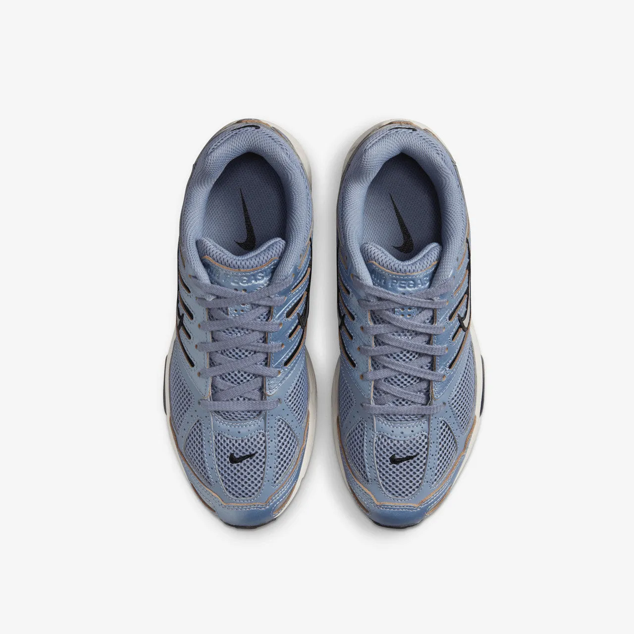 Wmns Air Pegasus 2005 C.O.R Nike casual lifestyle sneakers