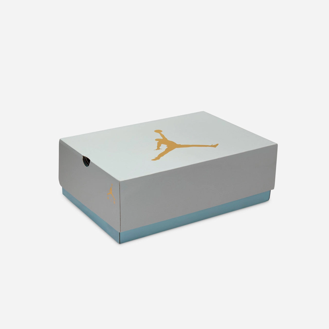 Wmns Air Jordan 6 Retro Classic basketball silhouette