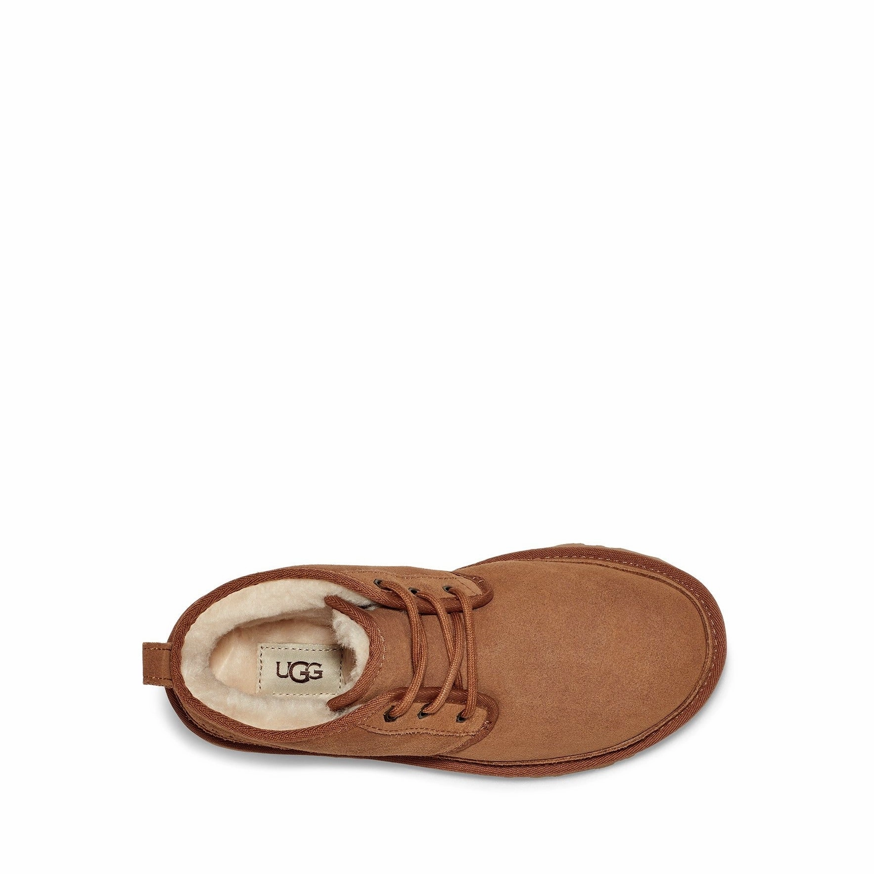 WOMEN'S NEUMEL Ugg Tasman Edition