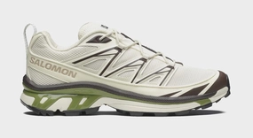 XT-6 Expanse Mens Running Shoes (Vanilla Ice/Black Coffee/Green) salomon all-terrain performance footwear