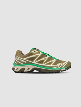 XT-6 "DRIED HERB/DEEP LICHEN/BRIGHT GREEN" salomon trail running shoes breathable